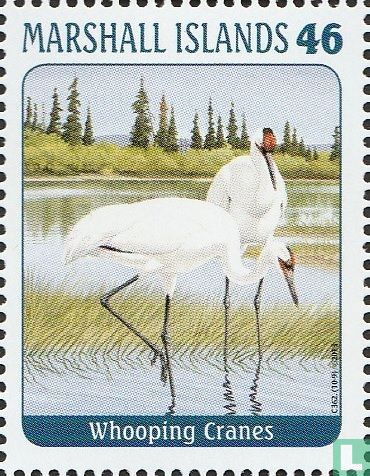 Oiseaux 