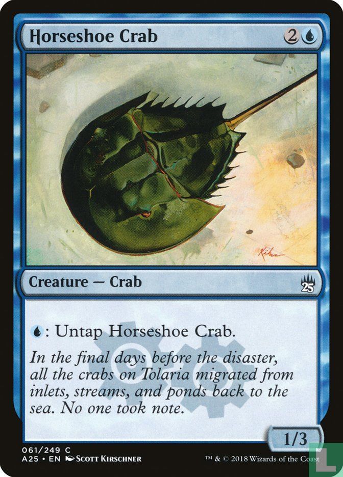 Horseshoe Crab