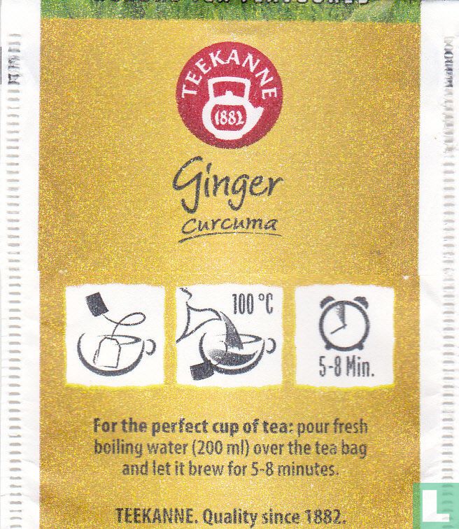 Ginger Curcuma (2022) Teekanne LastDodo