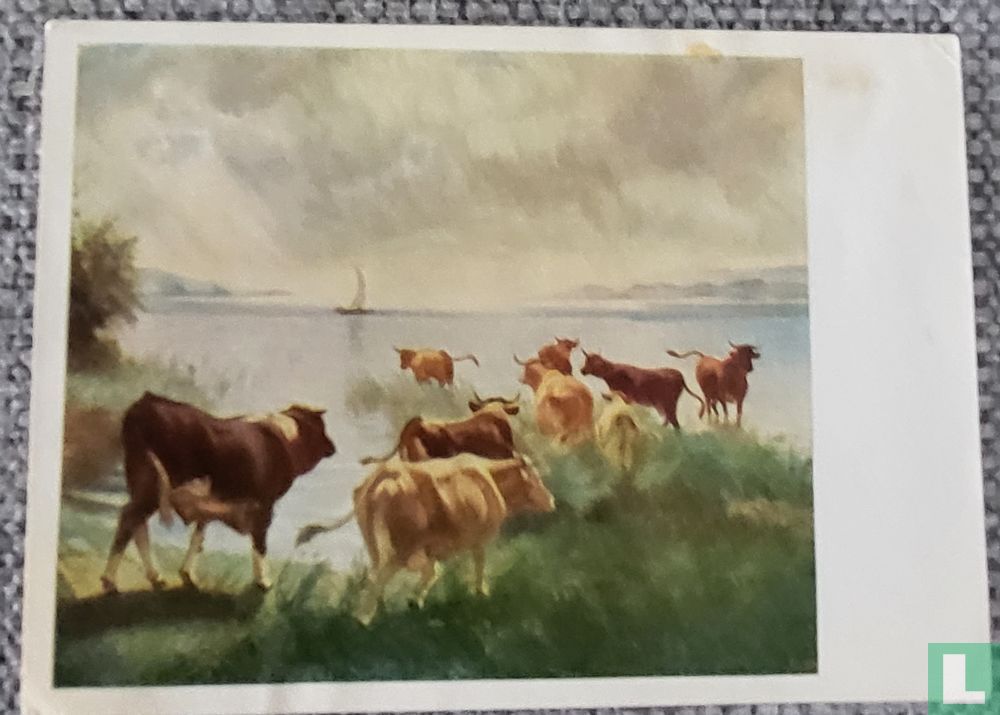 Landschap