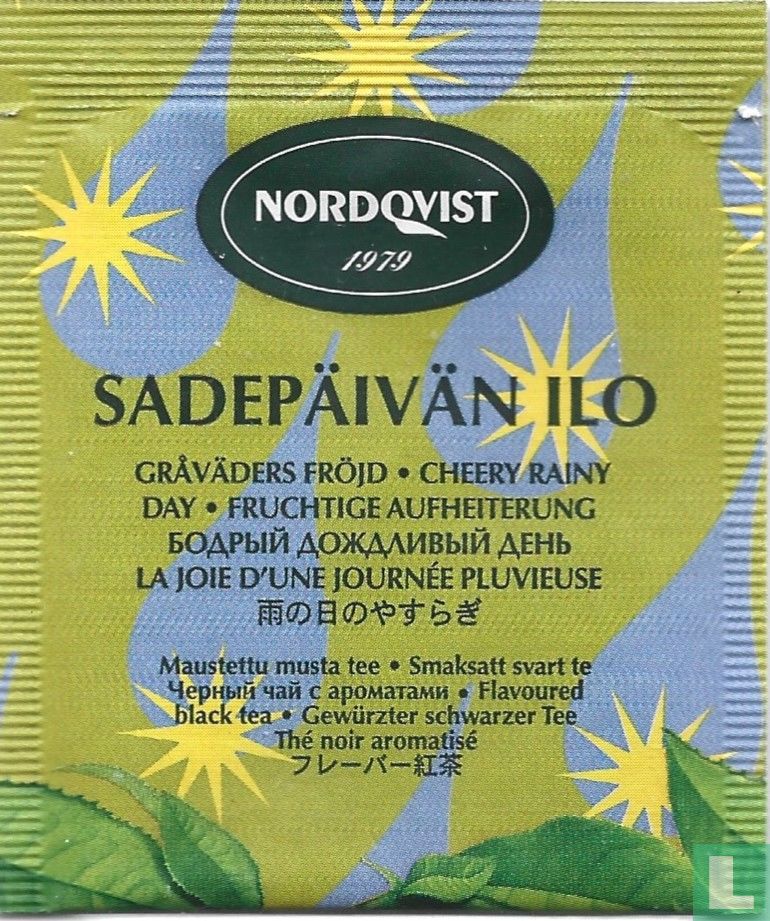 Sadepäivän Ilo