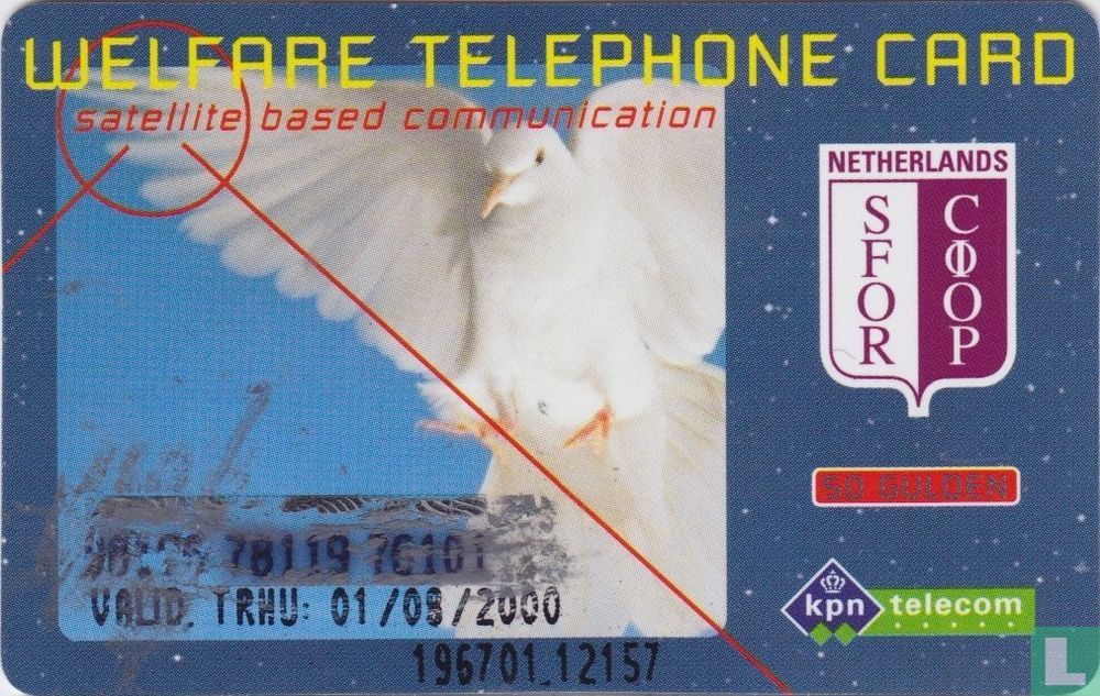 communicatie - postduif