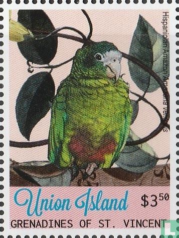 Parrots
