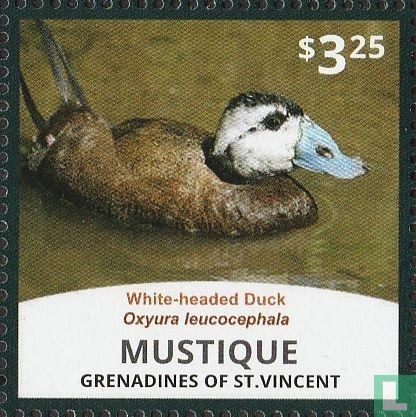 Canards