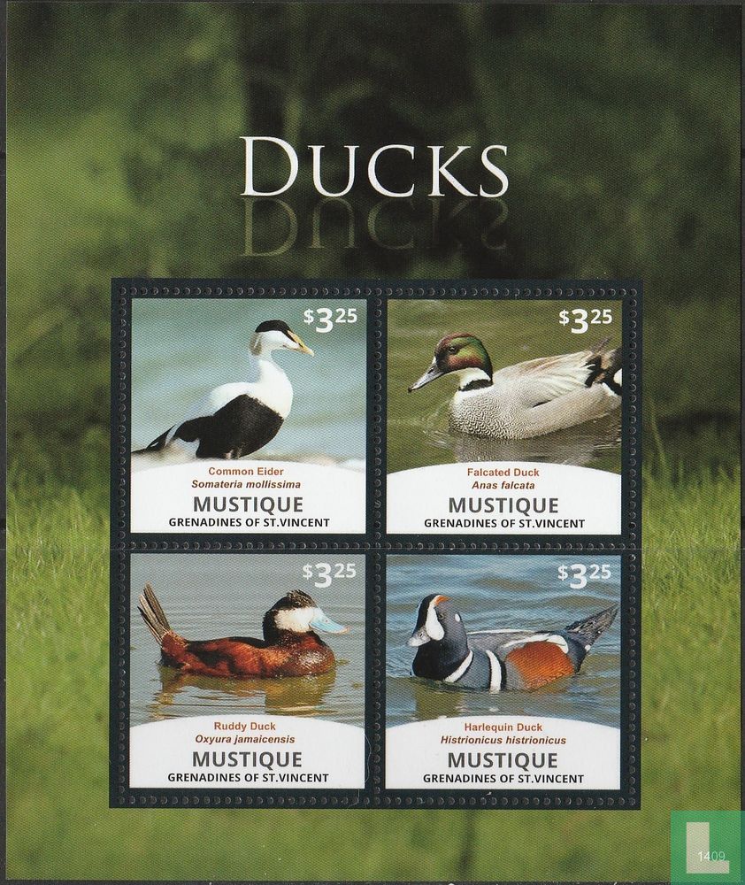 Ducks