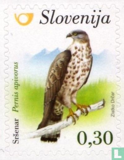Oiseaux indigènes