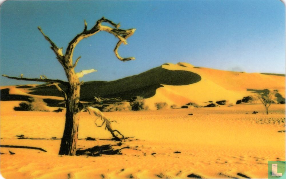 Tree in Dessert