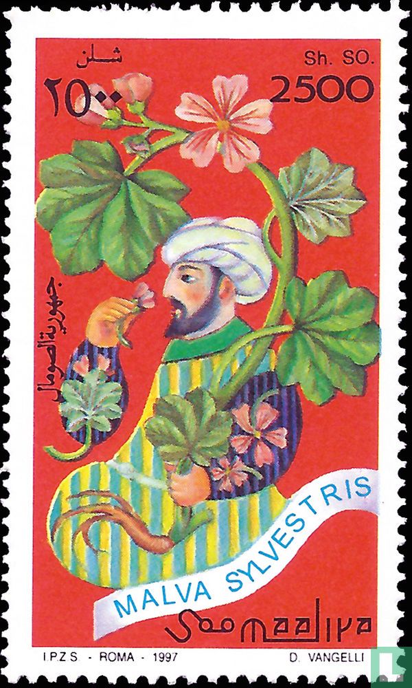 Medicinal plants