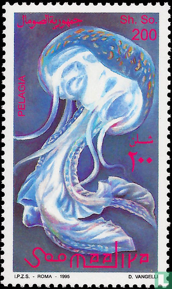 Jellyfish