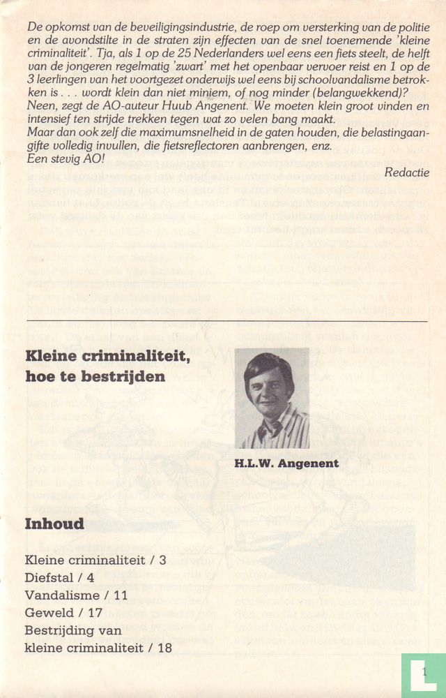 Kleine criminaliteit