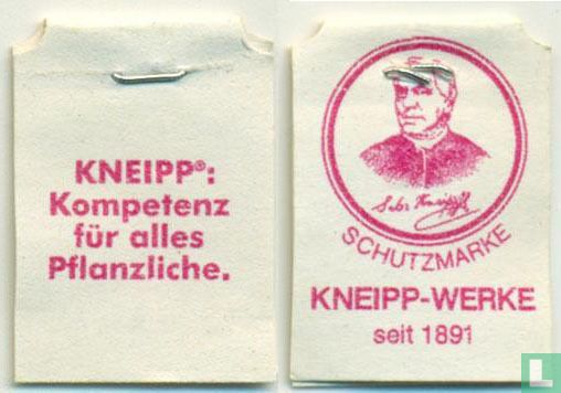 Fenchel-Tee
