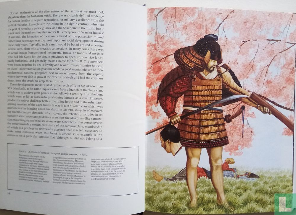 Samurai Warriors