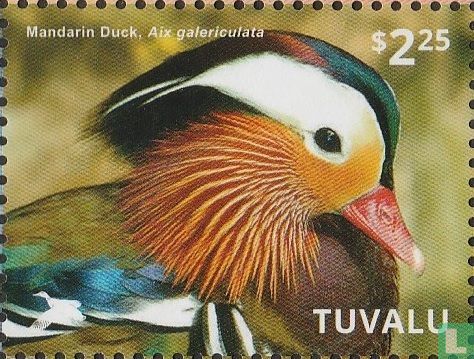 Canards