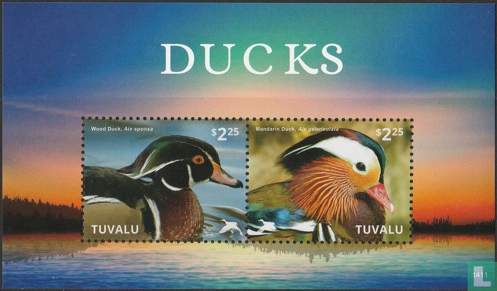 Canards