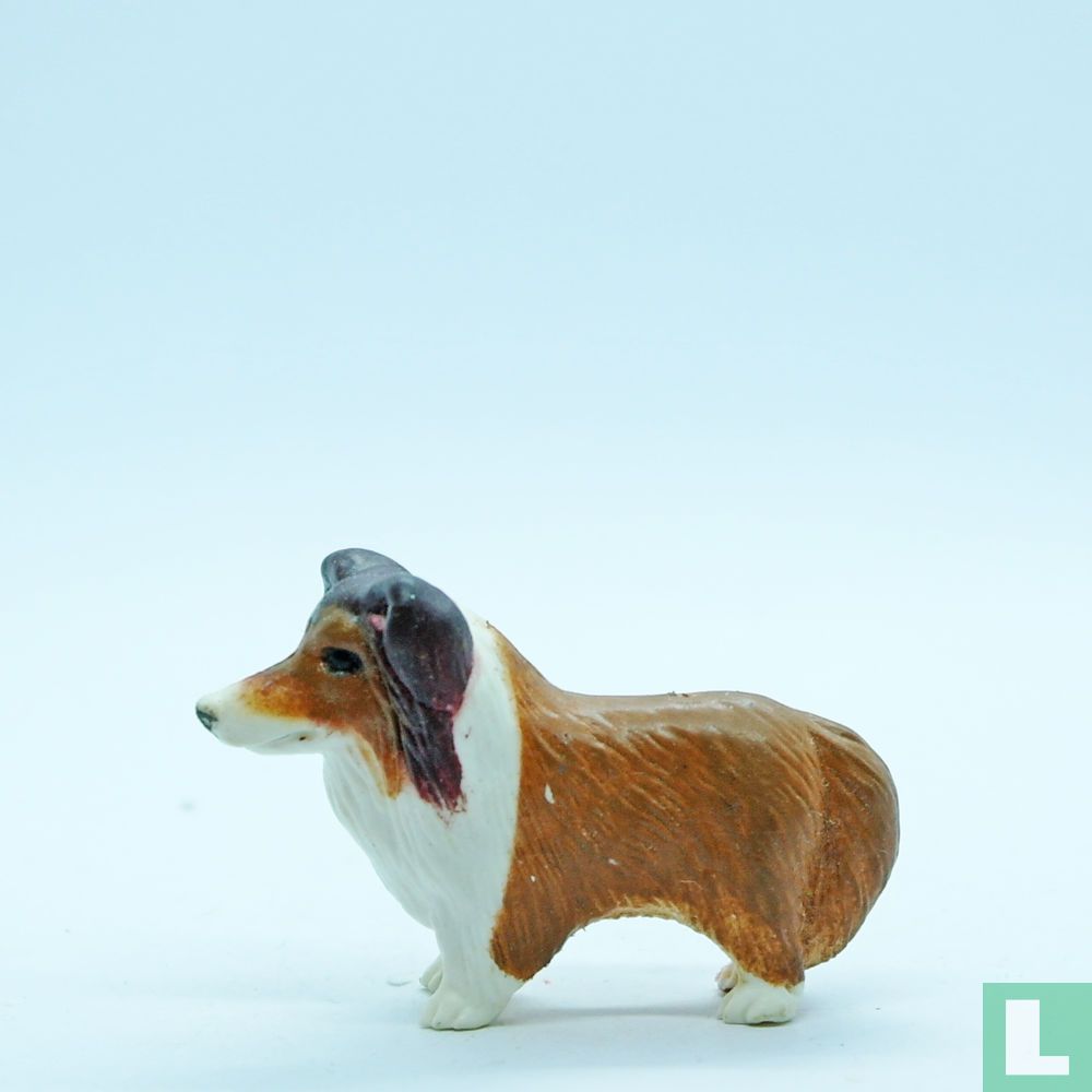 Granola (Collie)