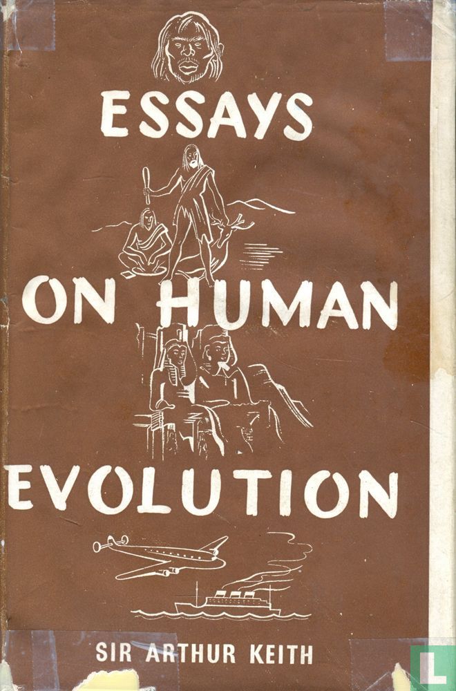 Essays on human evolution