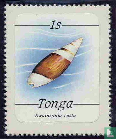 Zeedieren