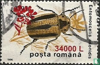 Insects