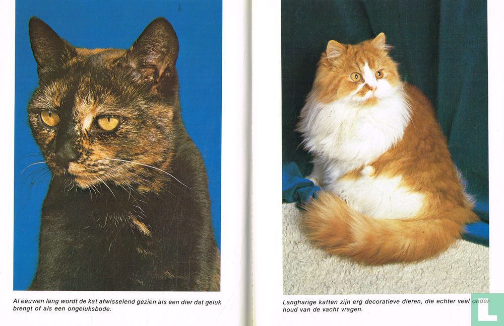 Katten