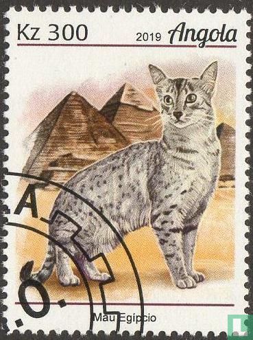 Cats