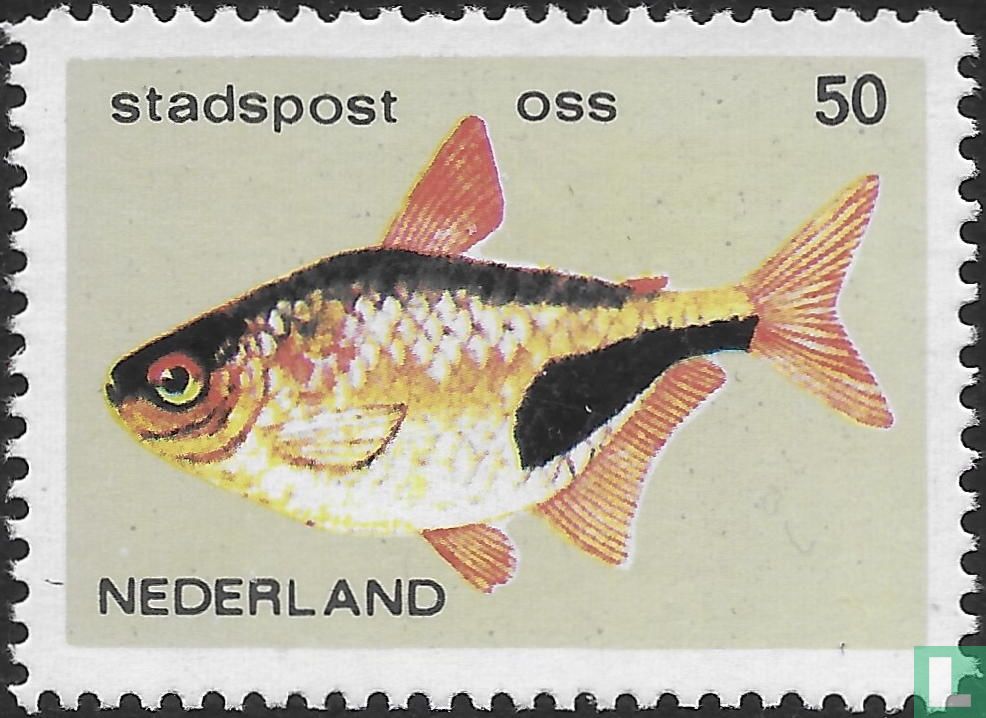 Vissen