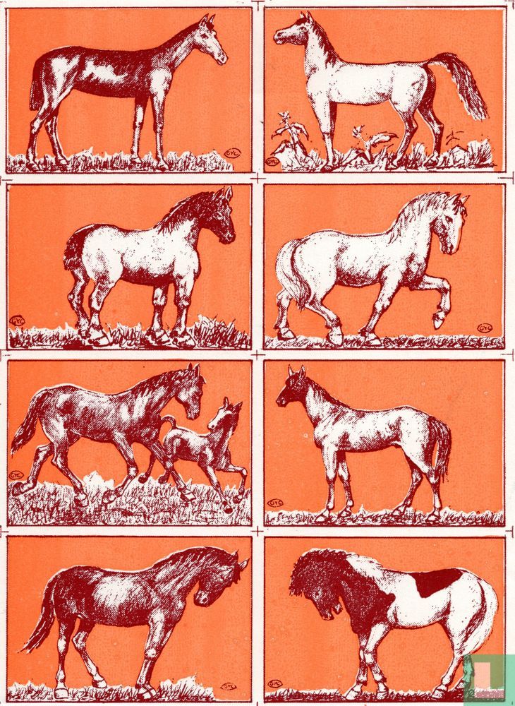 Paarden