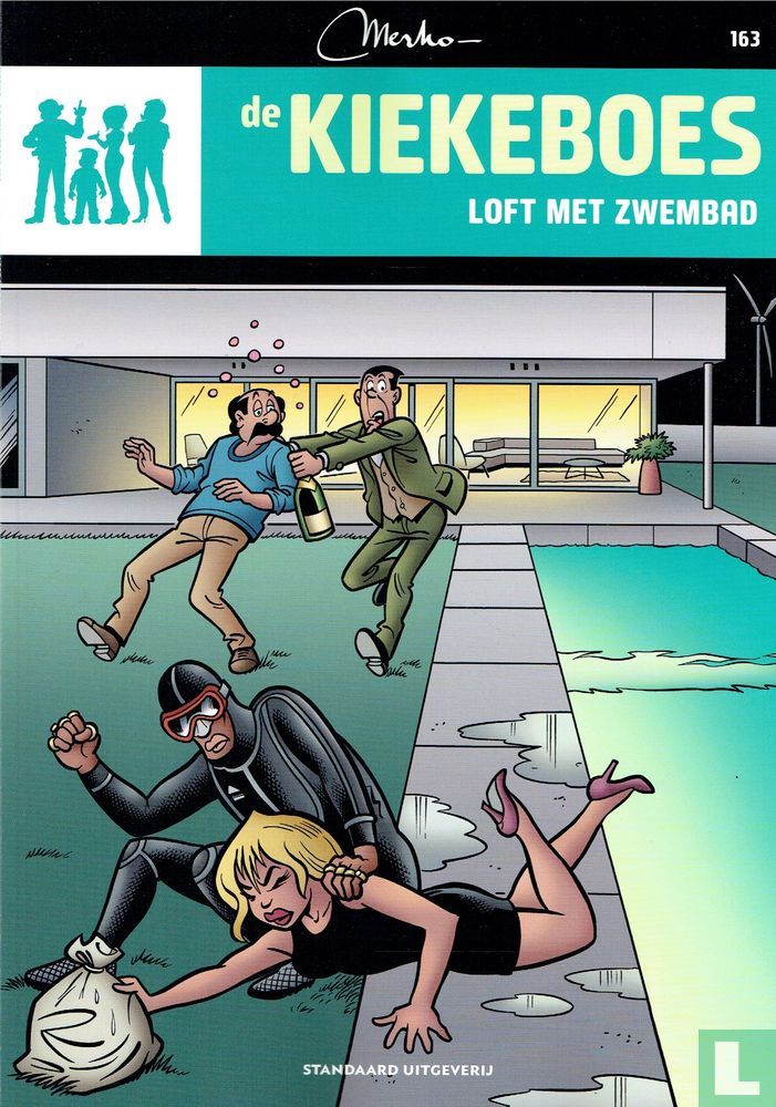 Loft met zwembad