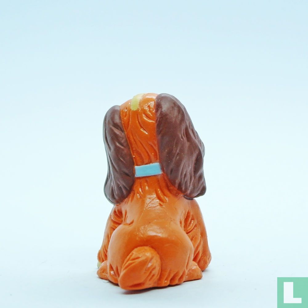 Lady