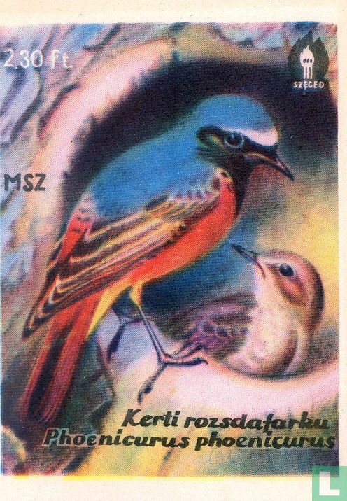 Kerti rozsdafarku