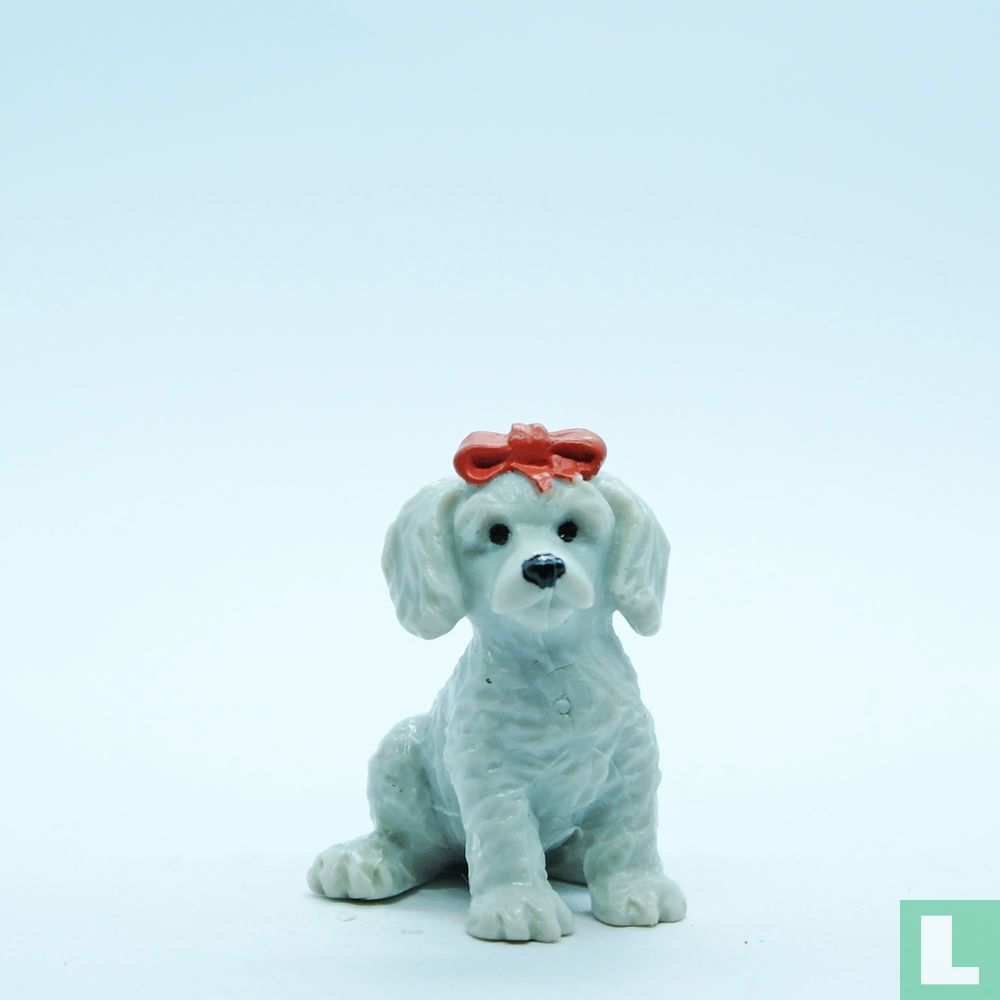 Meggie (Poodle)