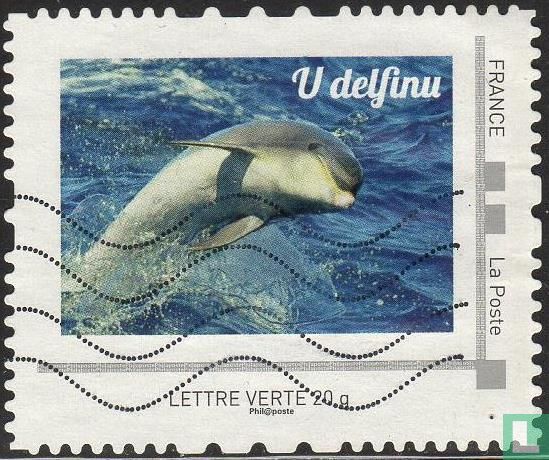 U delfinu