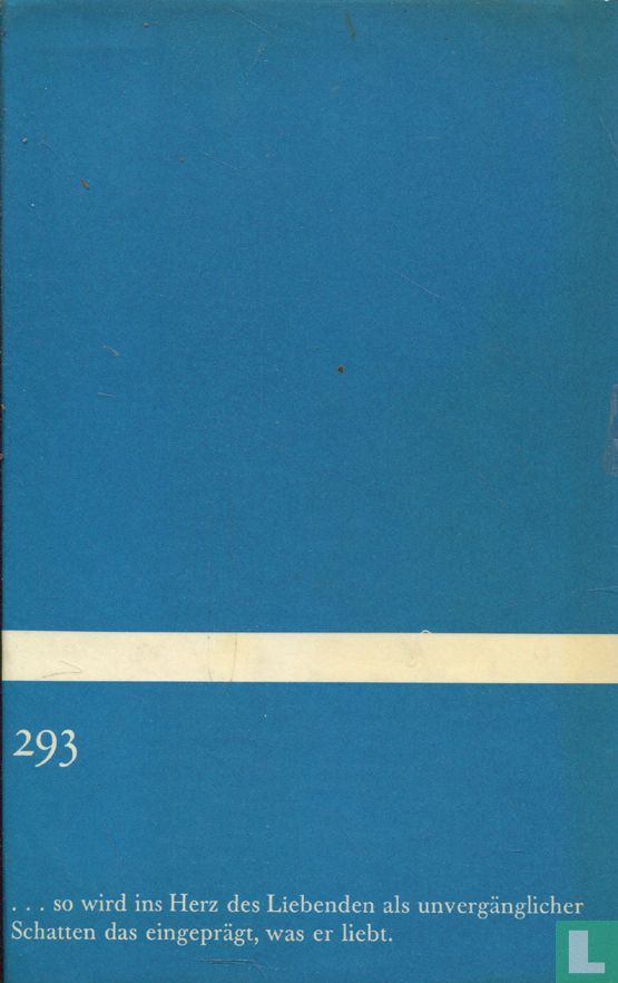Nachtgewächs
