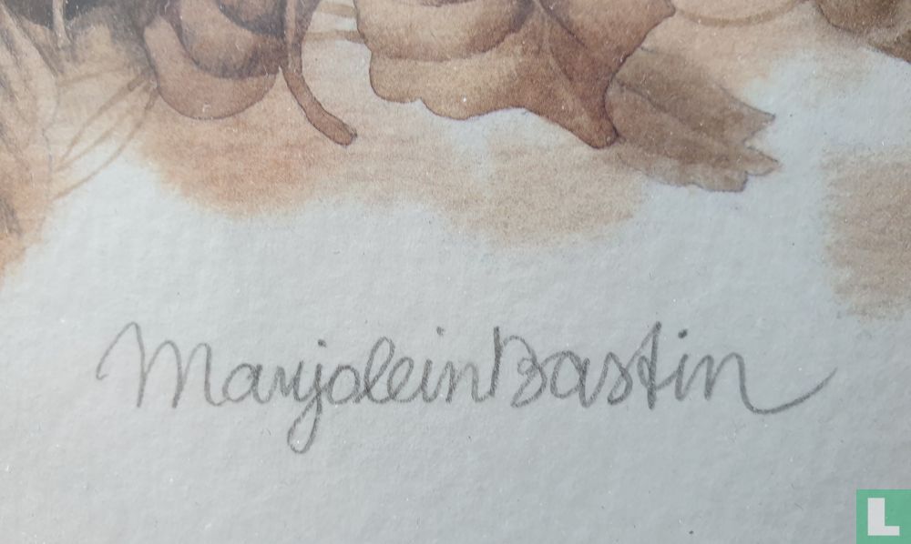 Marjolein Bastin