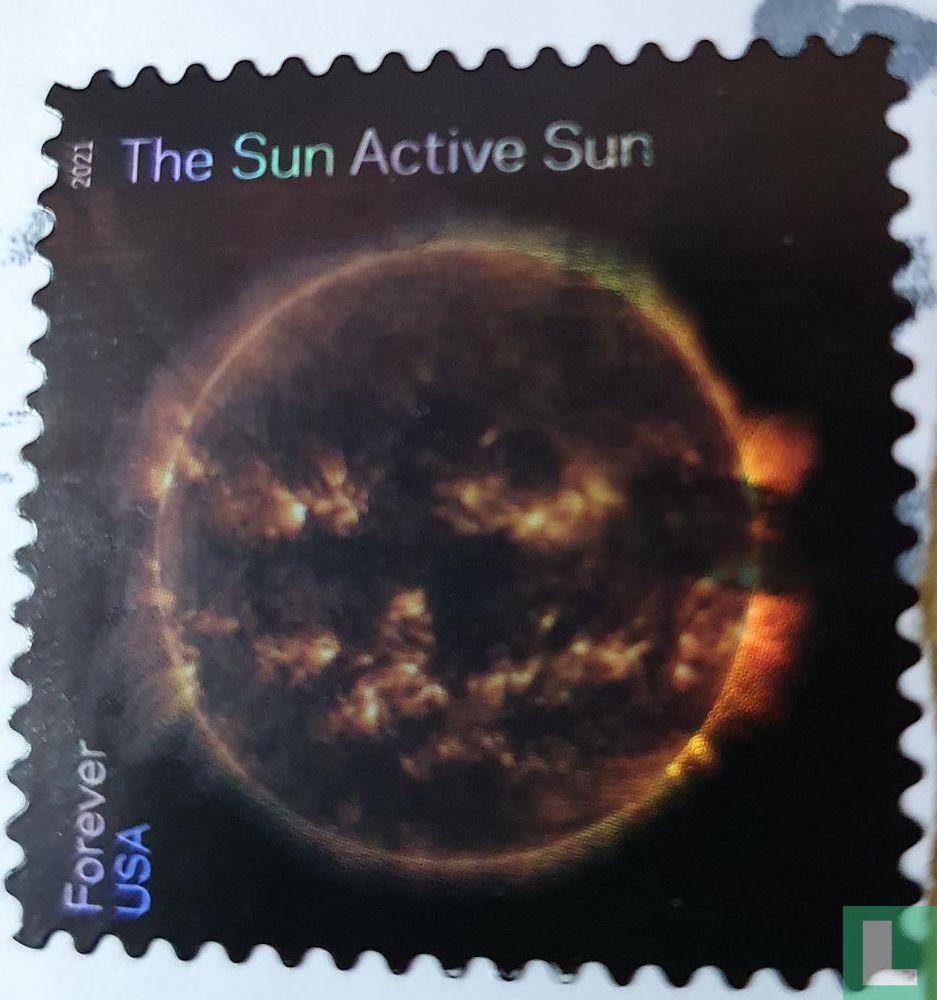 Active sun Forever (2021) United States of America LastDodo