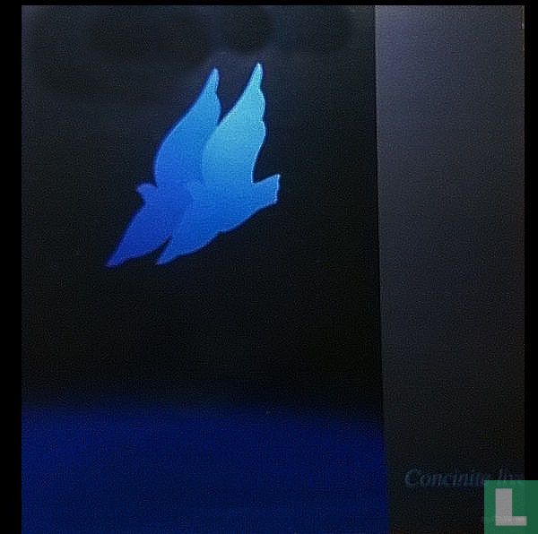 Concinite Live