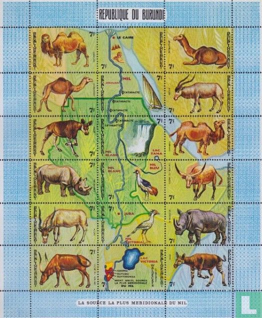 Animals and map