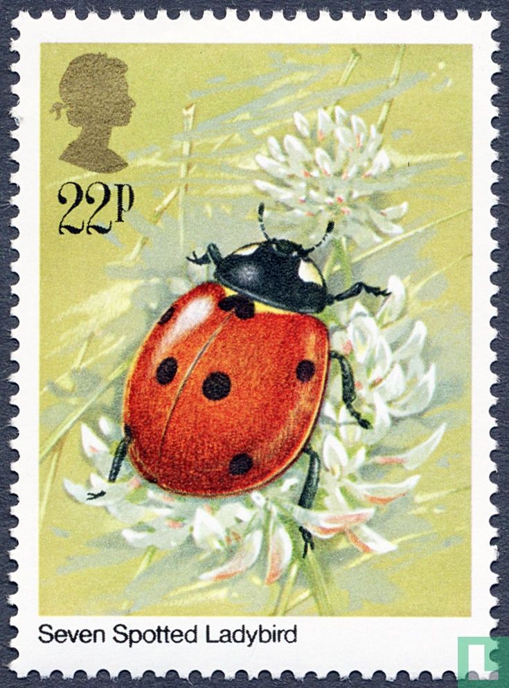 Insectes