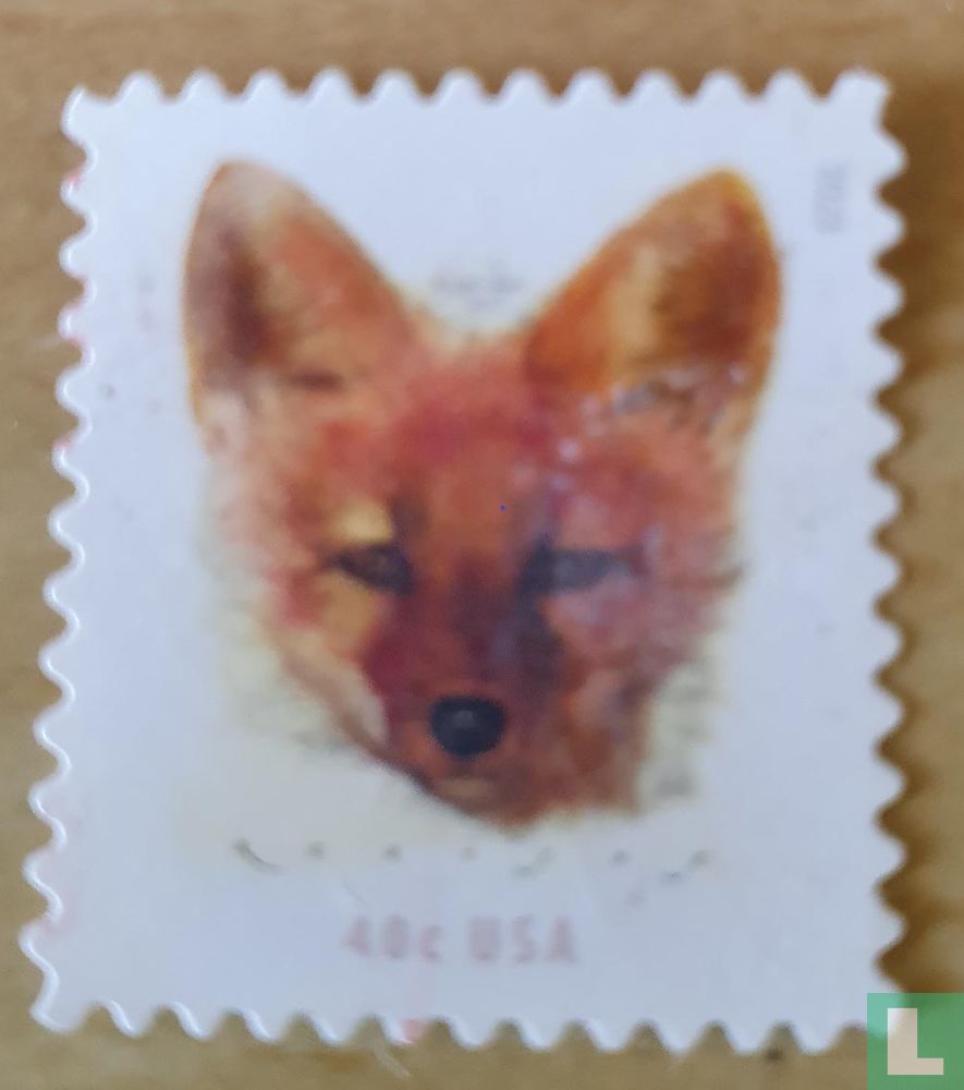 Renard