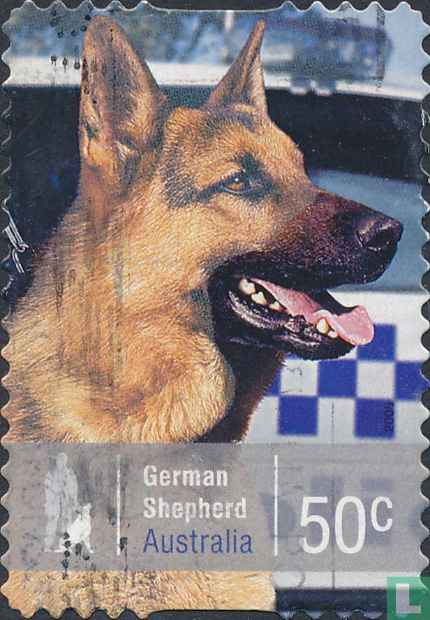 Dogs