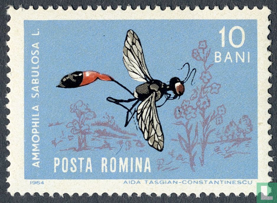 insects