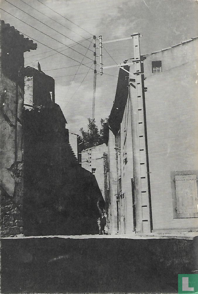 Bergbeek