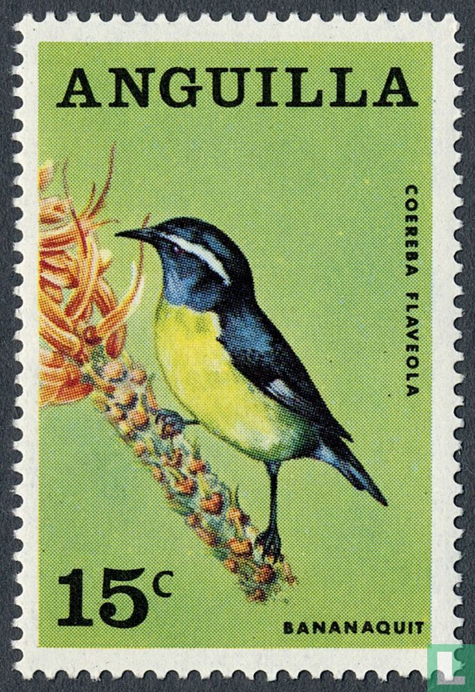 Oiseaux