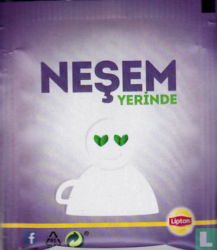 Adaçayi