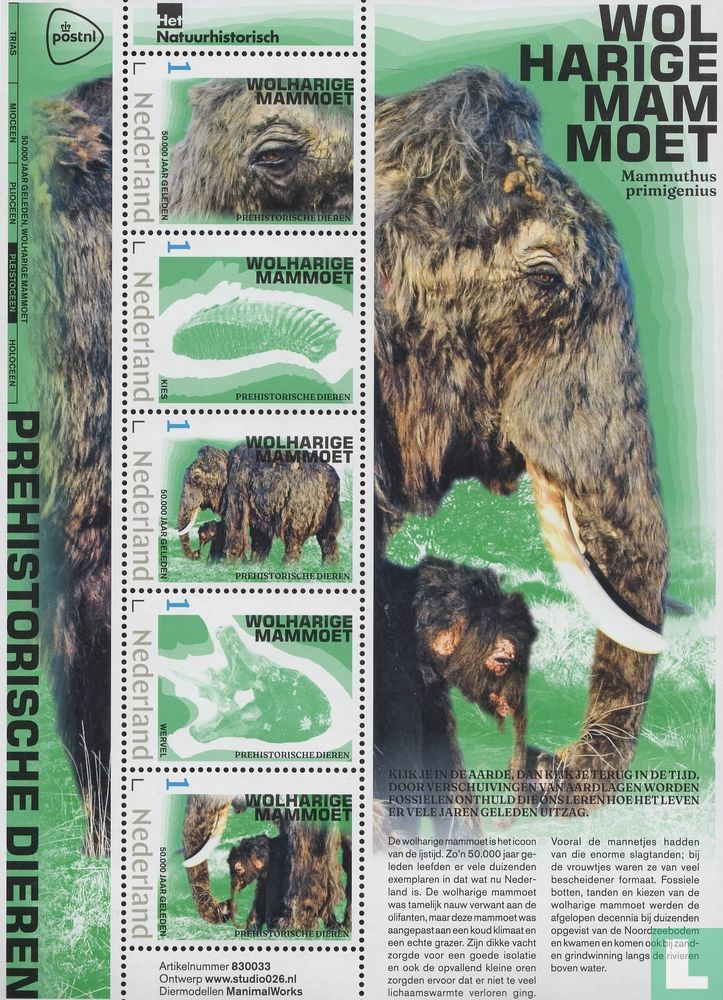 Woolly mammoth