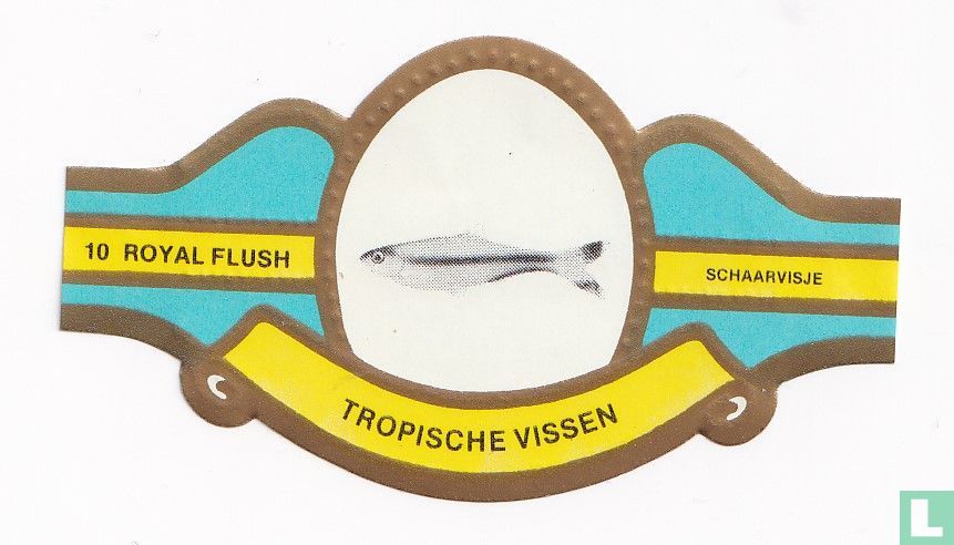 Schaarvisje