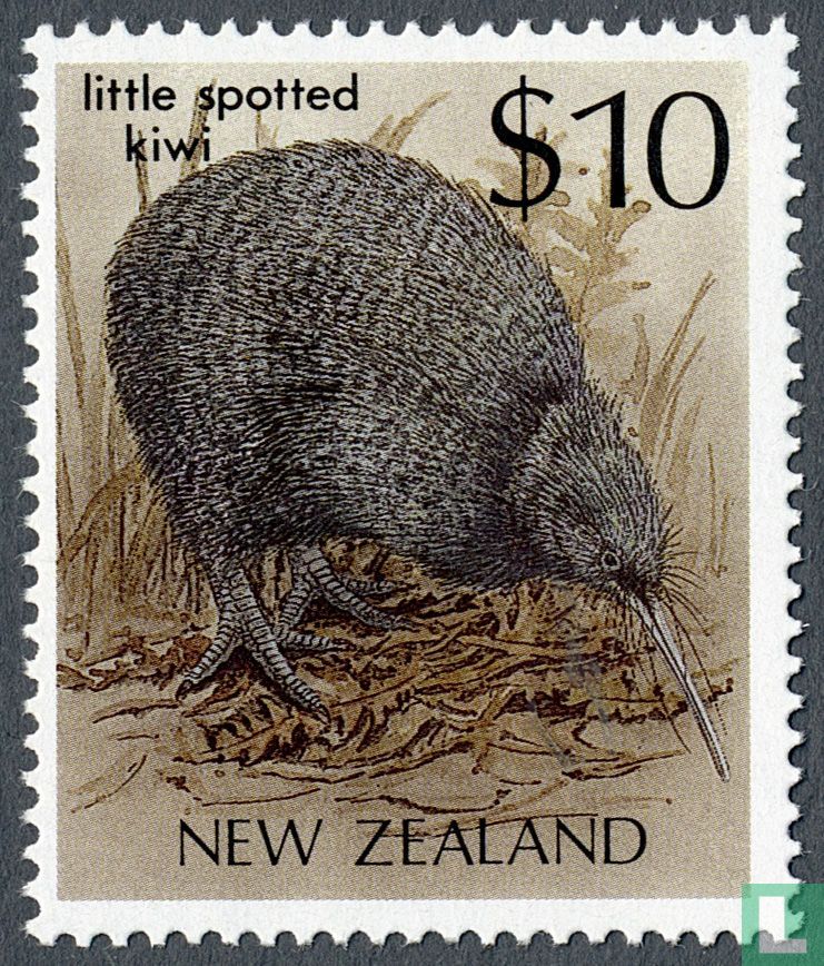 Kiwi