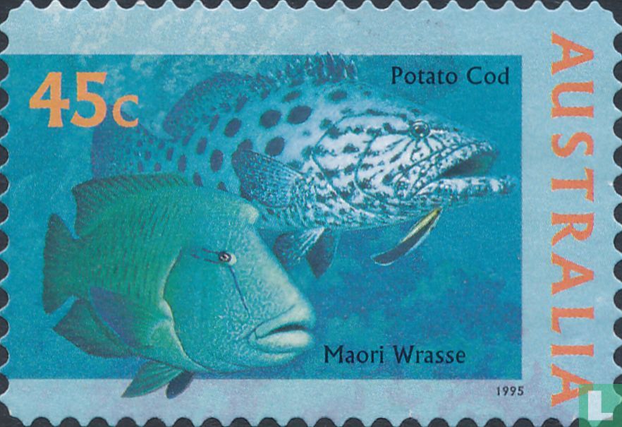 Underwater World
