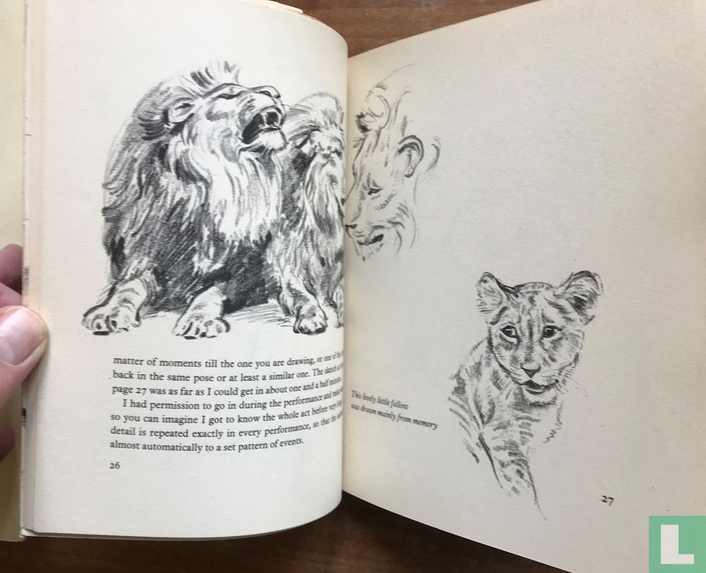 Drawing at the circus
