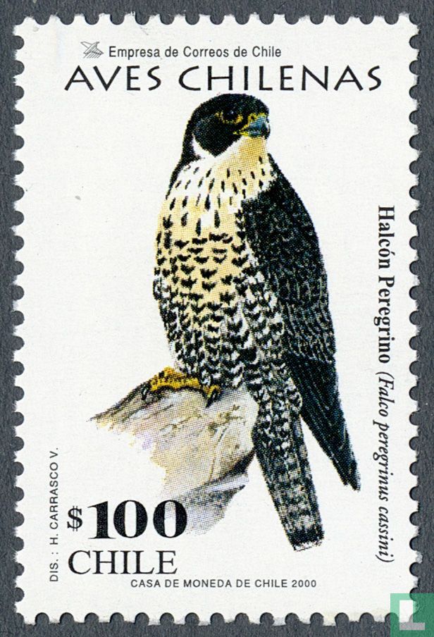 Slechtvalk