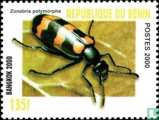 Beetles